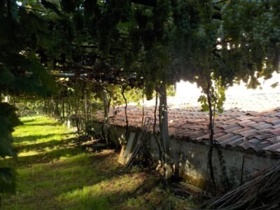 CASA RURAL EN PIÑEIROS