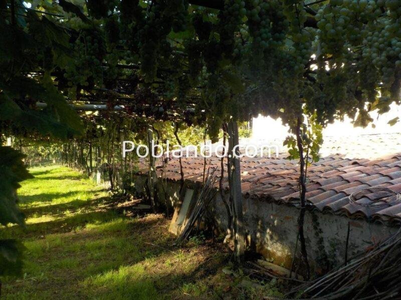 CASA RURAL EN PIÑEIROS