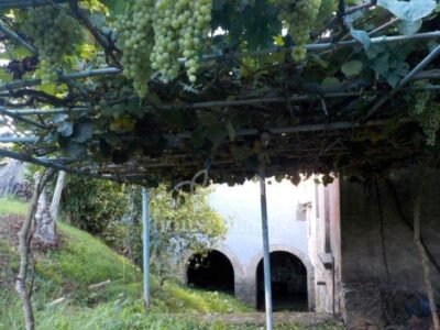 CASA RURAL EN PIÑEIROS
