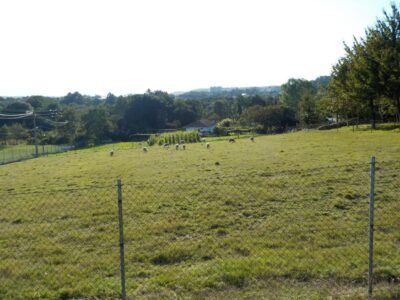 CASA RURAL EN PIÑEIROS