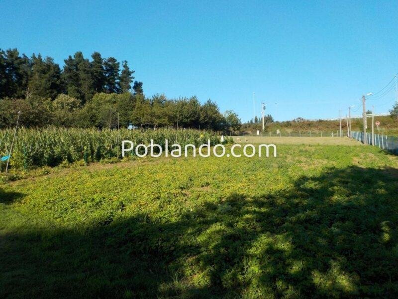 CASA RURAL EN PIÑEIROS