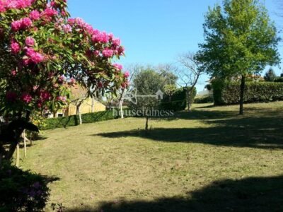 Espectacular finca con proyecto en Fene