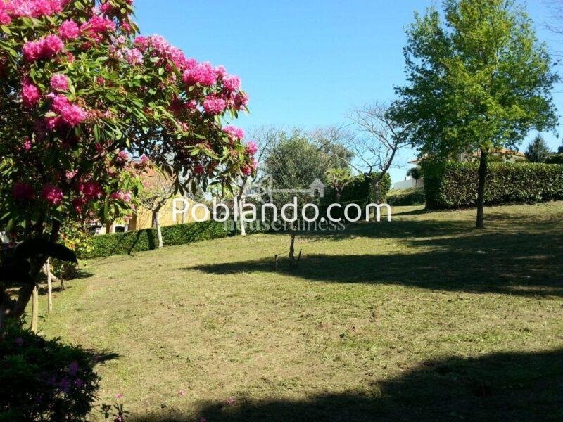 Espectacular finca con proyecto en Fene