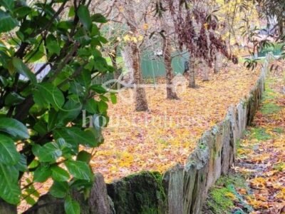 Espectacular finca con proyecto en Fene