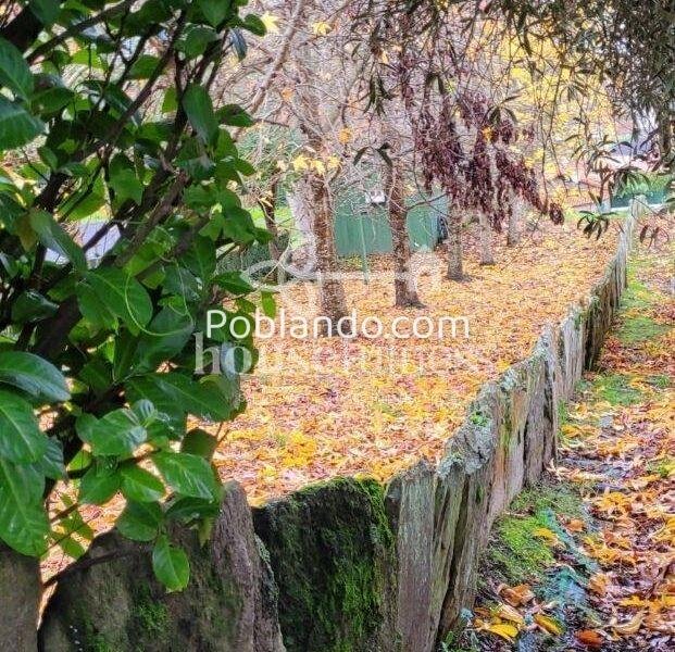Espectacular finca con proyecto en Fene