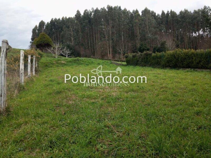 Finca en Pantín, Valdoviño