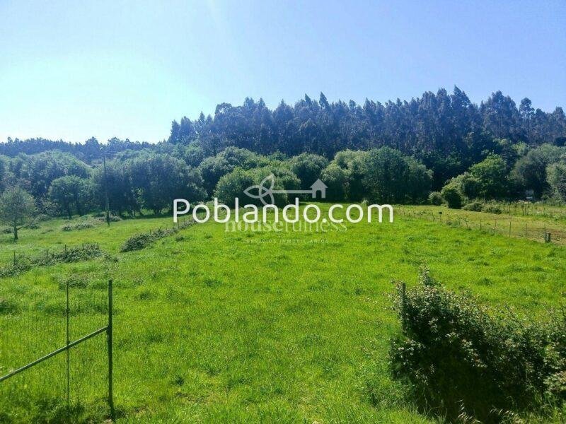 Finca urbana en San Julián, Narón