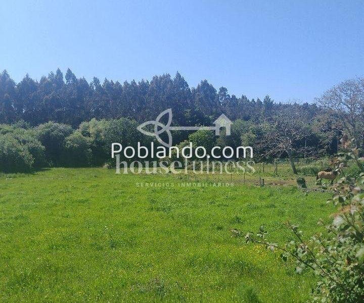 Finca urbana en San Julián, Narón