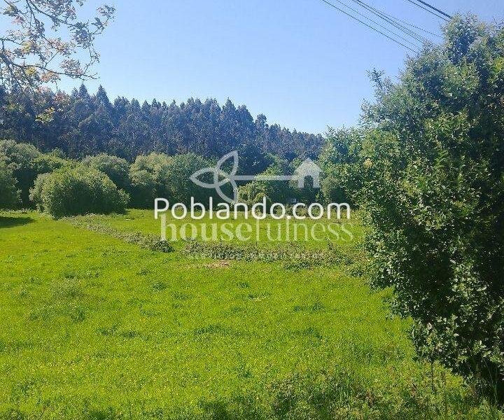 Finca urbana en San Julián, Narón