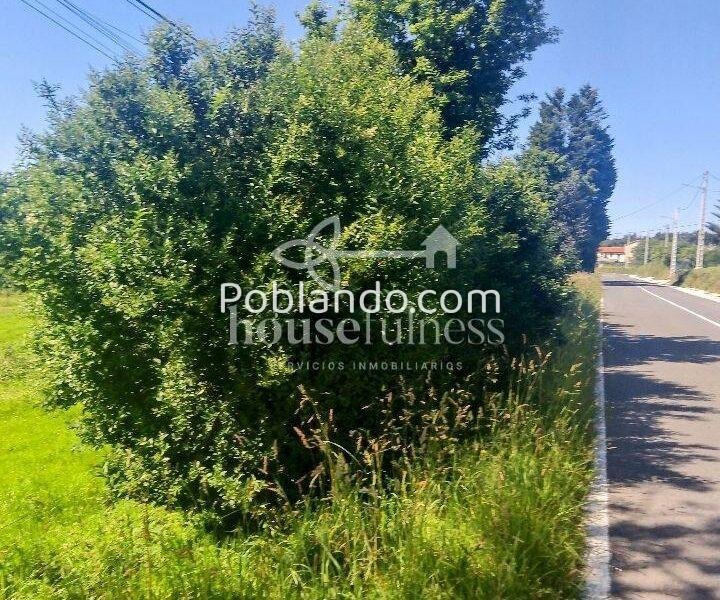 Finca urbana en San Julián, Narón