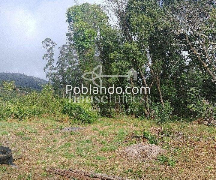 Casa de piedra en Cerdido para reformar integral