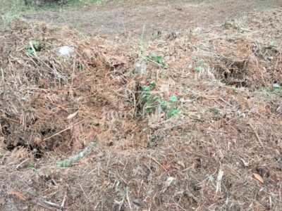 Proyecto turístico en O Vicedo