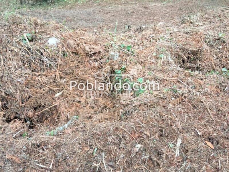 Proyecto turístico en O Vicedo