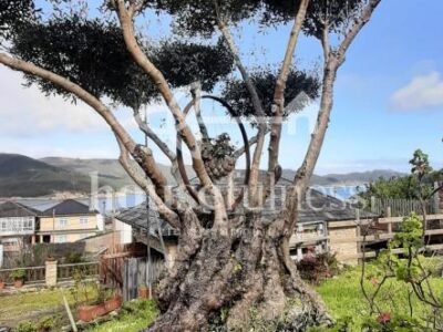 CASA OBRA NUEVA PARA TERMINAR EN O VICEDO