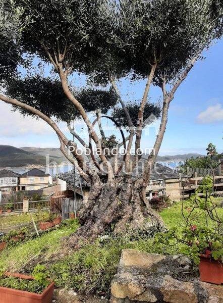 CASA OBRA NUEVA PARA TERMINAR EN O VICEDO
