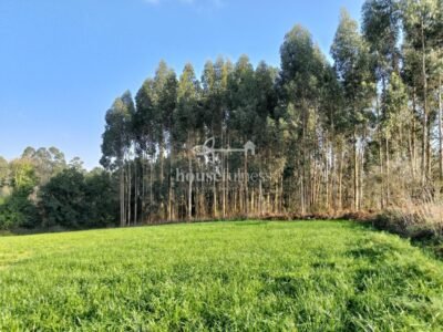 Finca urbana en Miño