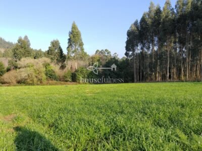 Finca urbana en Miño
