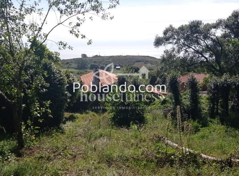 CASA DE PIEDRA EN O PIEIRO, DONIÑOS