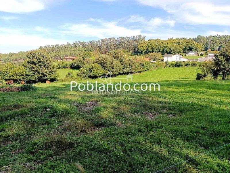ESPECTACULAR FINCA EN SAN SADURNIÑO