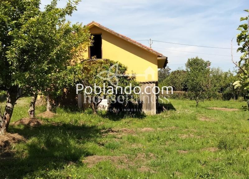 Casa luminosa y lista para entrar a vivir en entorno tranquilo