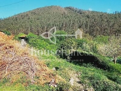 Proyecto de reforma con finca - Cedeira