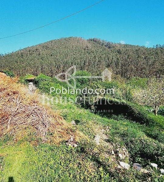 Proyecto de reforma con finca - Cedeira
