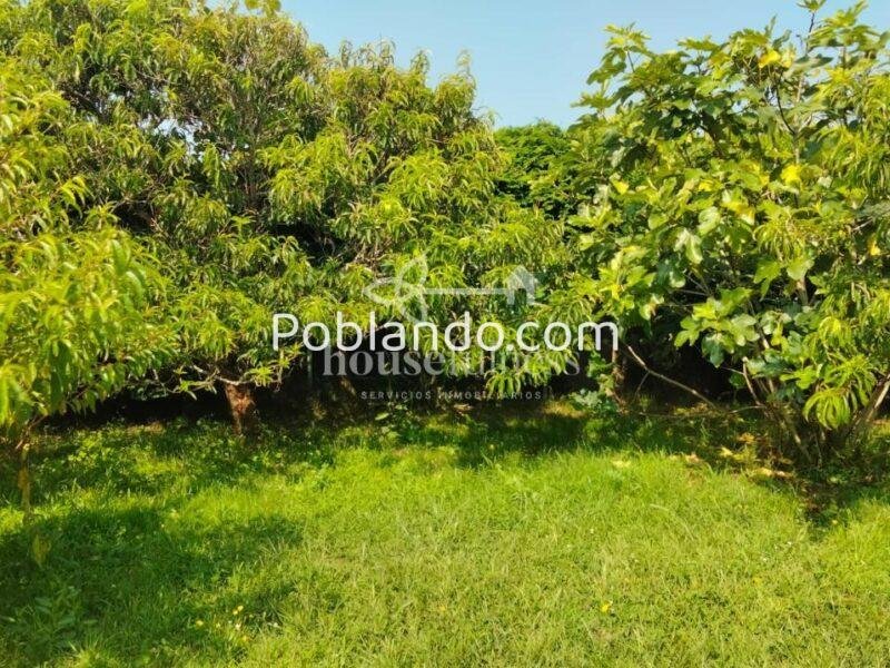 Chalet unifamiliar en Covas
