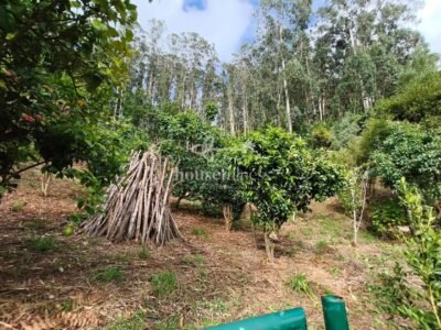Casa de piedra rehabilitada en Cedeira