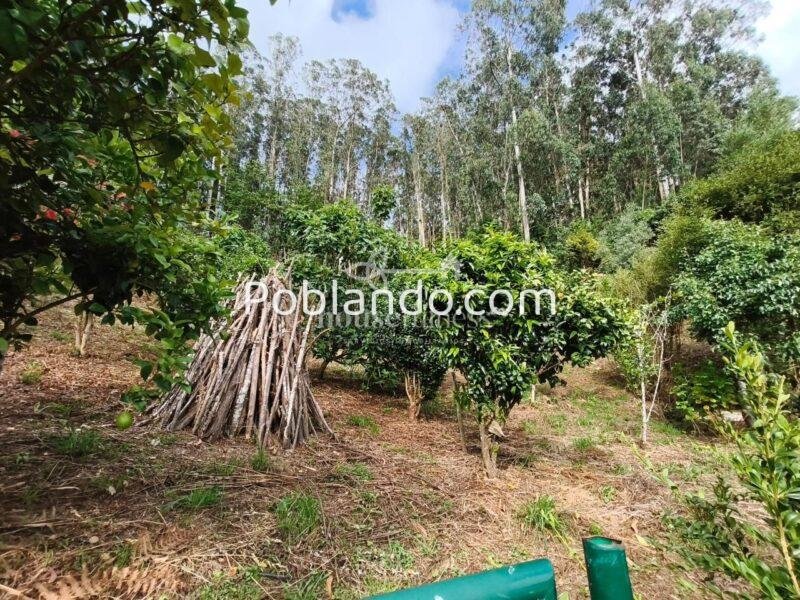 Casa de piedra rehabilitada en Cedeira