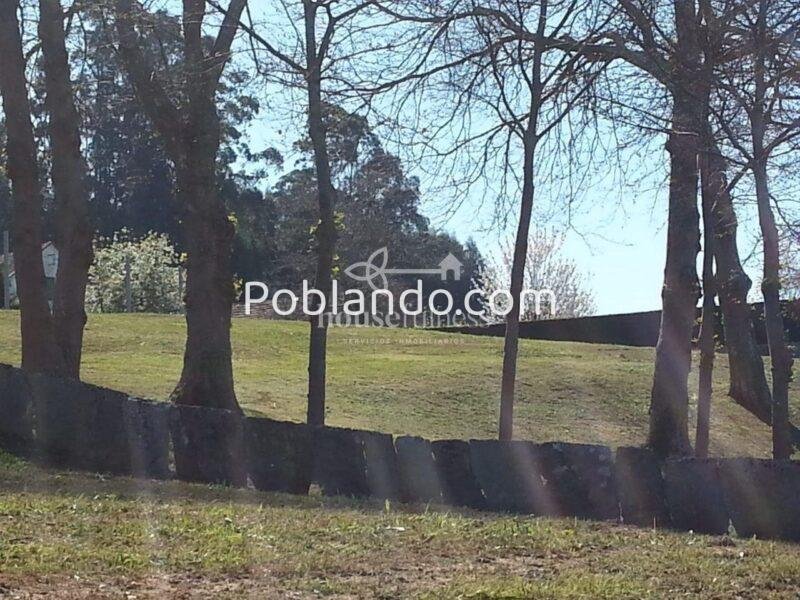Espectacular finca con proyecto en Fene