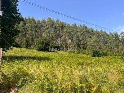Parcela urbana de 1.713 m² en Pedroso (Narón) bien comunicada