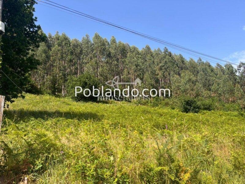 Parcela urbana de 1.713 m² en Pedroso (Narón) bien comunicada