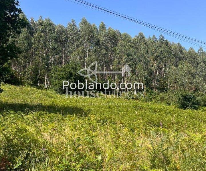 Parcela urbana de 1.713 m² en Pedroso (Narón) bien comunicada