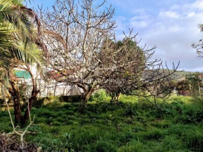 Casa para restaurar en Neda