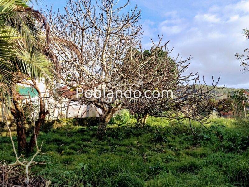 Casa para restaurar en Neda