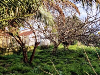 Casa para restaurar en Neda