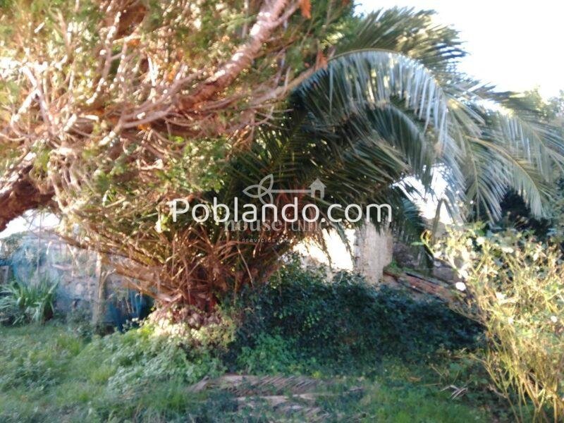 Casa para restaurar en Neda