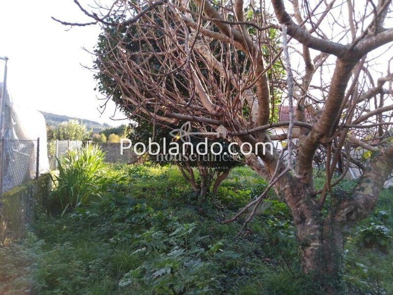 Casa para restaurar en Neda