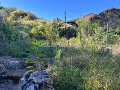 EN VENTA - ALEMPARTE, SAN AMARO (OURENSE)