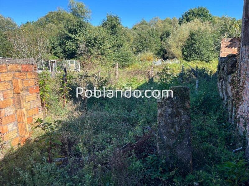 SE VENDE EN ALEMPARTE - SAN AMARO (OURENSE)