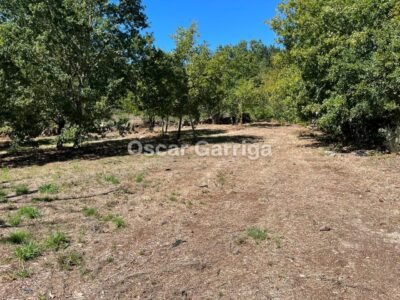 SE VENDE EN PONTE MANDRAS - CEA (OURENSE). Piedra, naturaleza y un enorme potencial para crear algo único.