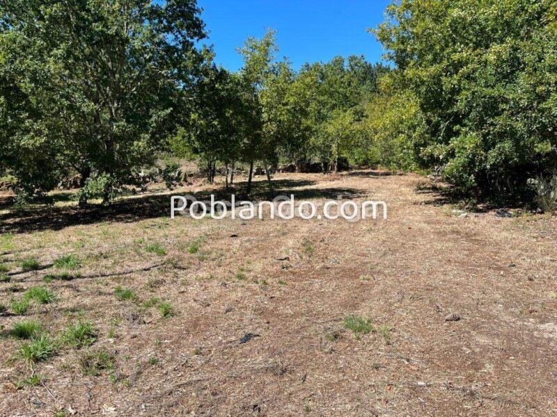 SE VENDE EN PONTE MANDRAS - CEA (OURENSE). Piedra, naturaleza y un enorme potencial para crear algo único.