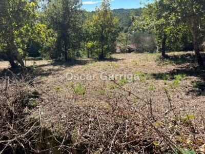 SE VENDE EN PONTE MANDRAS - CEA (OURENSE). Piedra, naturaleza y un enorme potencial para crear algo único.