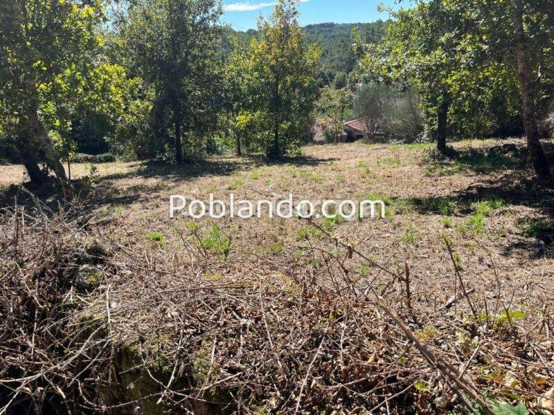 SE VENDE EN PONTE MANDRAS - CEA (OURENSE). Piedra, naturaleza y un enorme potencial para crear algo único.