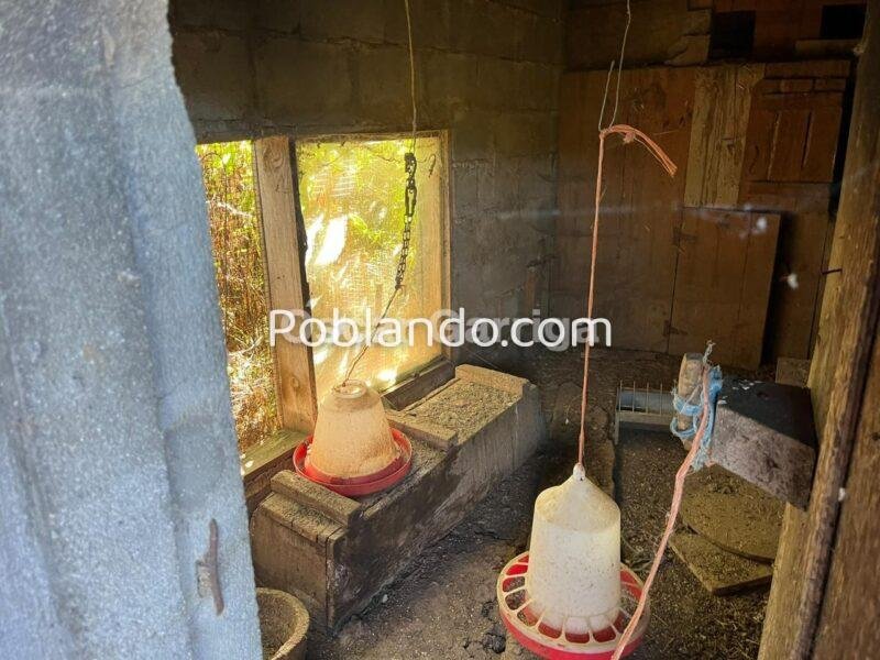 VIVIR EN EL RURAL SIN RENUNCIAR A ESTAR CERCA DE TODO