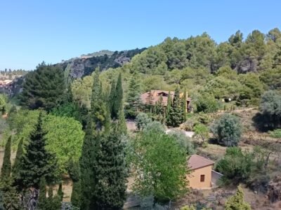 Trabaja desde casa sin vivir dentro de una ciudad