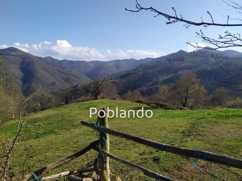 Finca rústica en Langreo, foto 2