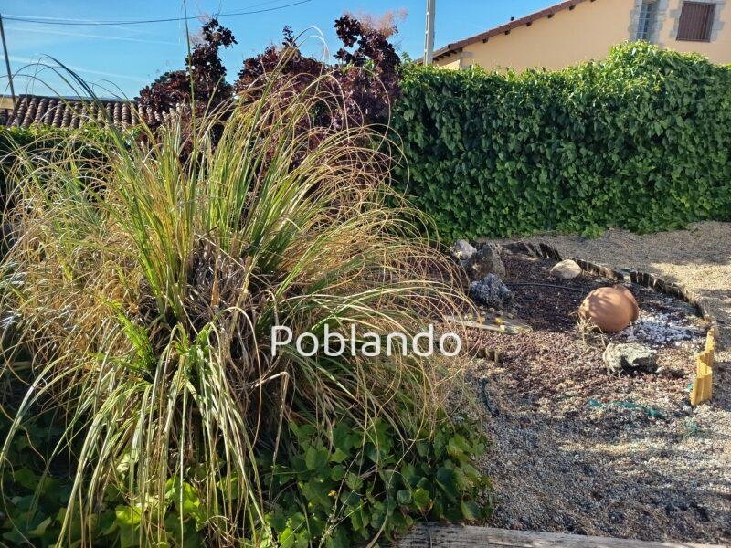 Lugar tranquilo y rodeado de naturaleza a 8 km de Avila