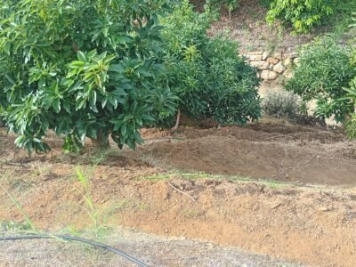 Finca en venta
