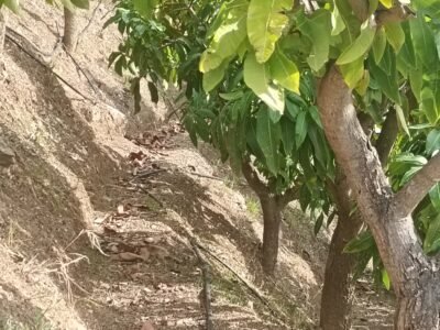 Finca en venta